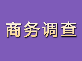 阳原商务调查